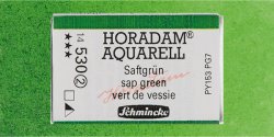 Schmincke - Schmincke Horadam Aquarell 1/1 Tablet 530 Sap Green seri 2