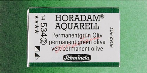 Schmincke Horadam Aquarell 1/1 Tablet 534 Permanent Green Olive seri 2