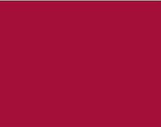Sennelier Ink Çizim Mürekkebi 30ml-Carmine - Carmine