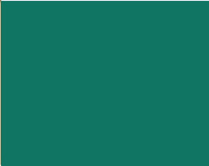 Sennelier Ink Çizim Mürekkebi 30ml-Deep Green - Deep Green