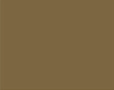 Sennelier Ink Çizim Mürekkebi 30ml-Gold - Gold