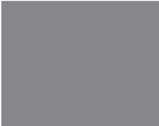 Sennelier Ink Çizim Mürekkebi 30ml-Grey - Grey