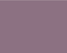 Sennelier Ink Çizim Mürekkebi 30ml-Neutral Tint - Neutral Tint