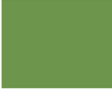 Sennelier Ink Çizim Mürekkebi 30ml-Olive Green - Olive Green