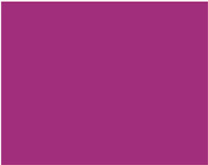 Sennelier Ink Çizim Mürekkebi 30ml-Purple - Purple