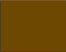 Sennelier Ink Çizim Mürekkebi 30ml- Raw Sienna - Raw Sienna