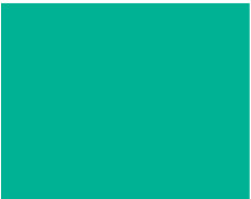Sennelier Ink Çizim Mürekkebi 30ml-Spring Green - Spring Green