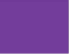 Sennelier Ink Çizim Mürekkebi 30ml-Violet - Violet