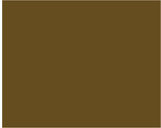Sennelier Ink Çizim Mürekkebi 30ml-Walnut Satin - Walnut Satin