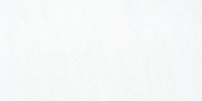 Sennelier Yağlı Pastel 001 White - 001 White