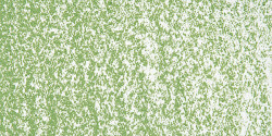 Sennelier - Sennelier Yağlı Pastel 046 Olive Green