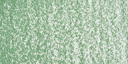 Sennelier - Sennelier Yağlı Pastel 088 Sap Green Light