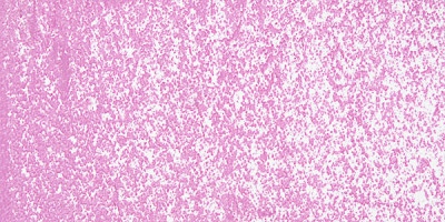 Sennelier Yağlı Pastel 095 Cobalt Violet Light Hue - 095 Cobalt Violet Light Hue