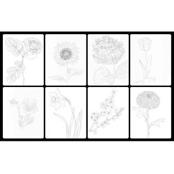 Anka Art - Sulu Boya Çiçek Desenleri Designed By Karen Fung 300g A5 8li