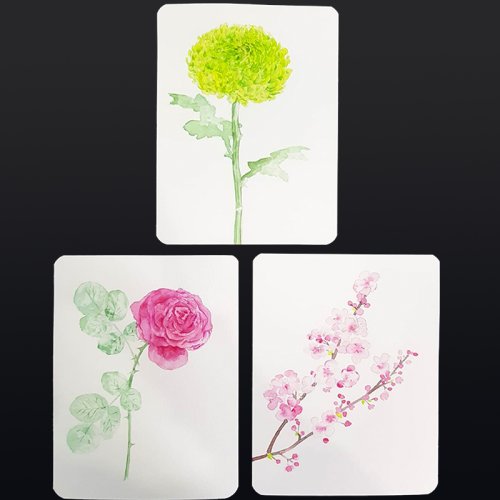 Sulu Boya Çiçek Desenleri Designed By Karen Fung 300g A5 8li