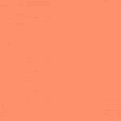 Tombow - Tombow Dual Brush Pen Coral 873