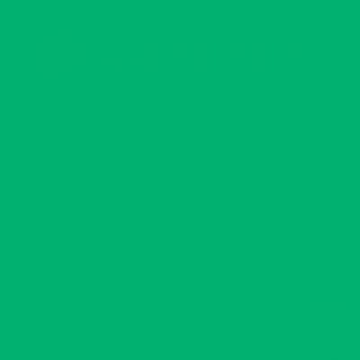 Tombow Dual Brush Pen Green 296 - 296 Green