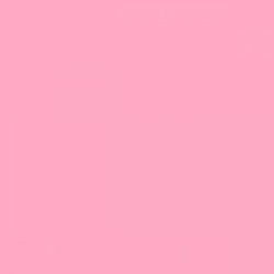 Tombow - Tombow Dual Brush Pen Pink 723