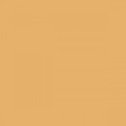 Tombow - Tombow Dual Brush Pen Sand 992