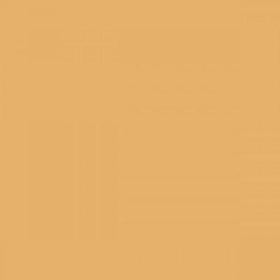 Tombow Dual Brush Pen Sand 992 - 992 Sand