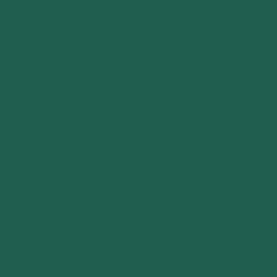 Touch Twin Brush Marker BG51 Dark Green - BG51 Dark Green