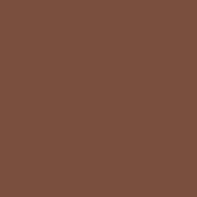 Touch Twin Brush Marker BR95 Burnt Sienna