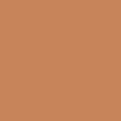 Touch Twin Brush Marker BR97 Rose Beige