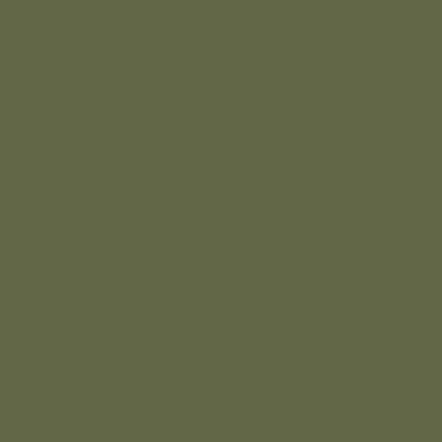 Touch Twin Brush Marker Y225 Olive Green Dark