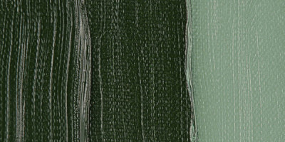 Van Gogh 40ml Yağlı Boya Seri:1 629 Green Earth - 629 Green Earth