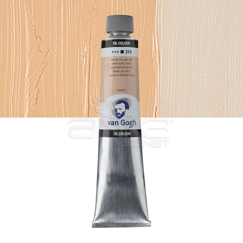 van gogh 224