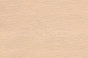 Hahnemühle Velür Pastel Kağıdı Sand 260g - Sand