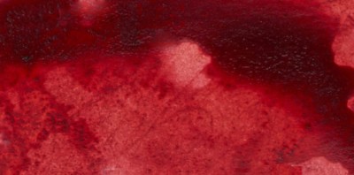 Winsor & Newton Ink Çini Mürekkebi 14ml 040 Brick Red - 040 Brick Red