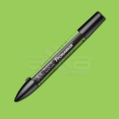 Winsor & Newton Promarker Leaf Green G258 - G258 Leaf Green