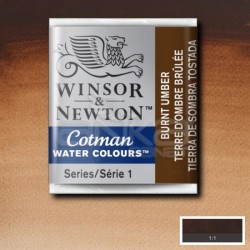 Winsor&Newton - Winsor & Newton Tablet Sulu Boya No:076 Burnt Umber