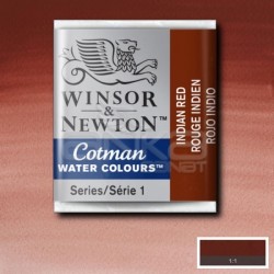 Winsor&Newton - Winsor & Newton Tablet Sulu Boya No:317 İndian Red