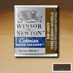 Winsor&Newton - Winsor & Newton Tablet Sulu Boya No:554 Raw Umber