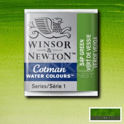 Winsor & Newton Tablet Sulu Boya No:599 Sap Green