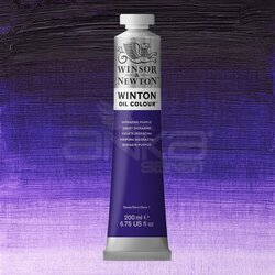 Winsor&Newton - Winsor & Newton Winton Yağlı Boya 200ml 229 (47) Dioxazine Purple
