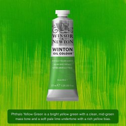 Winsor&Newton - Winsor & Newton Winton Yağlı Boya 37ml 403 Phthalo Yellow Green