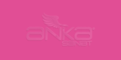 Zig Art&Graphic Twin RB+F Çift Uçlu Çizim Kalemi 020 Pink - 020 Pink
