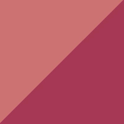 Zig Brushables 2 Renk Tonu Fırça Uçlu Marker Kalem 203 Antique Burgundy - 203 Antique Burgundy