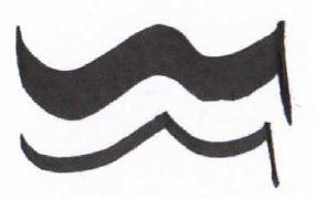 Zig Calligraphy Çift Uçlu Kaligrafi Kalemi 2mm + 5mm 010 Pure Black - 010 Pure Black
