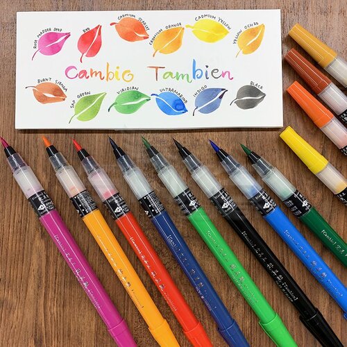 Zig Cambio Tambien Medium Brush Tip Fırça Uçlu Kalem
