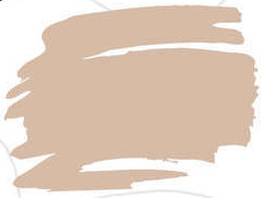Zig Kurecolor Fine & Brush for Manga Çizim Kalemi 730 Oatmeal - 730 Oatmeal
