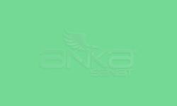 Zig - Zig Painty Medium Tip FMP-30 Garden Green 048