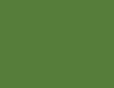 Zig Scroll & Brush Çift Çizgi ve Fırça Uçlu Kaligrafi Kalemi-Ever Green - 044 Ever Green
