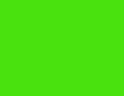 Zig Scroll & Brush Çift Çizgi ve Fırça Uçlu Kaligrafi Kalemi-Kiwi - 402 Kiwi